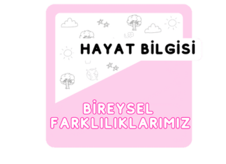 2.Sınıf Bireysel Farklılıklar