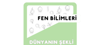 3. Sınıf Dünyanın Şekli