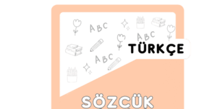 4. Sınıf Sözcük Bilgisi