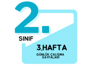 2. Sınıf 3. Hafta Çalışmaları