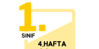1.Sınıf 4.Hafta Çalışmaları
