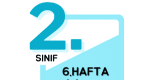 2. Sınıf 6. Hafta Çalışmaları