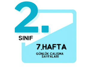 2. Sınıf 7. Hafta Çalışmaları