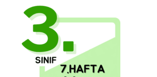 3. Sınıf 7. Hafta Çalışmaları