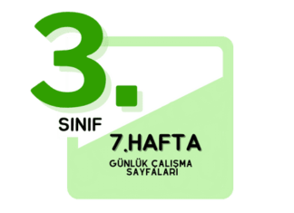 3. Sınıf 7. Hafta Çalışmaları