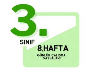 3. Sınıf 8. Hafta Çalışmaları