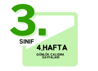 3.Sınıf 4. Hafta Çalışmaları