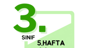 3. Sınıf 5. Hafta Çalışmaları