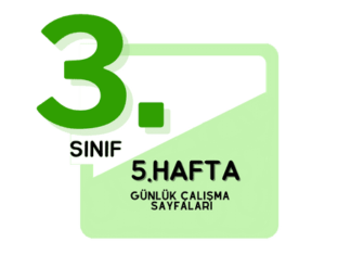 3. Sınıf 5. Hafta Çalışmaları