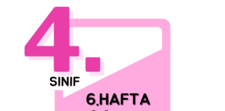 4. Sınıf 6. Hafta Çalışmaları