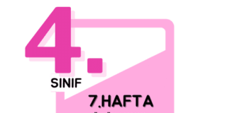 4. Sınıf 7. Hafta Çalışmaları