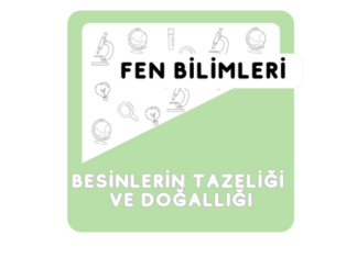 4. Sınıf Besinlerin Tazeliği ve Doğallığı