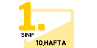 1. Sınıf 10. Hafta Çalışmaları
