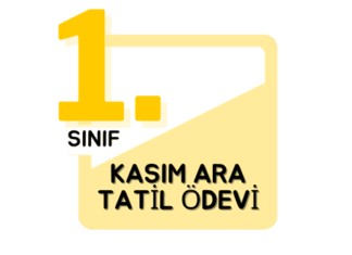 1. Sınıf Kasım Ara Tatil Ödevi