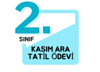 2. Sınıf Kasım Ara Tatil Ödevi