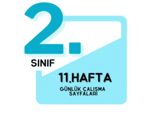 2. Sınıf 11. Hafta Çalışmaları
