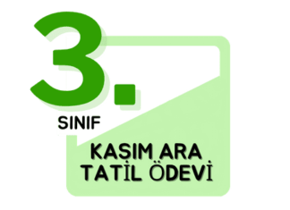 3. Sınıf Kasım Ara Tatil Ödevi