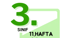 3. Sınıf 11. Hafta Çalışmaları