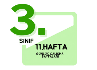 3. Sınıf 11. Hafta Çalışmaları