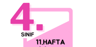4. Sınıf 11. Hafta Çalışmaları