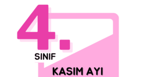 4. Sınıf Deneme Sınavı Kasım Ayı