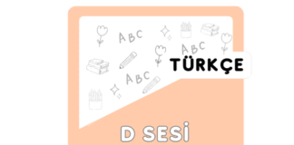 D Sesi Etkinlikleri