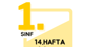 1. Sınıf 14. Hafta Çalışmaları