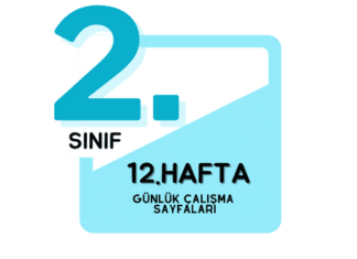 2. Sınıf 12. Hafta Çalışmaları