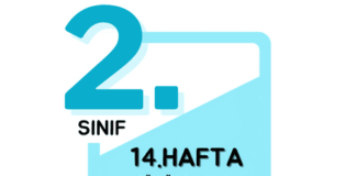 2. Sınıf 14. Hafta Çalışmaları