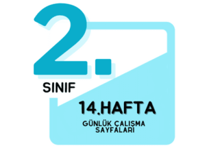 2. Sınıf 14. Hafta Çalışmaları