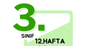 3. Sınıf 12. Hafta Çalışmaları