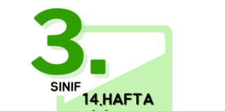 3. Sınıf 14. Hafta Çalışmaları