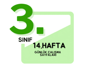 3. Sınıf 14. Hafta Çalışmaları