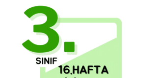 3. Sınıf 16. Hafta Çalışmaları