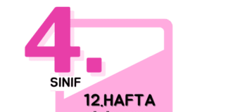 4. Sınıf 12. Hafta Çalışmaları