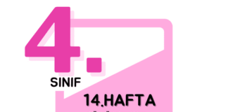 4. Sınıf 14. Hafta Çalışmaları