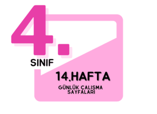 4. Sınıf 14. Hafta Çalışmaları