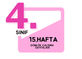 4. Sınıf 15. Hafta Çalışmaları