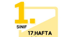 1. Sınıf 17. Hafta Çalışmaları