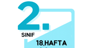 2. Sınıf 18. Hafta Çalışmaları