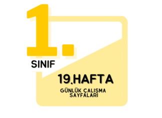 1. Sınıf 19. Hafta Çalışmaları