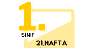 1. Sınıf 21. Hafta Çalışmaları