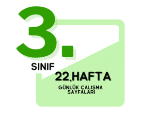 3. Sınıf 22. Hafta Çalışmaları