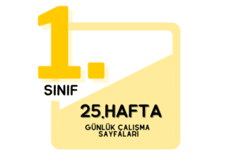 1. Sınıf 25. Hafta Çalışmaları