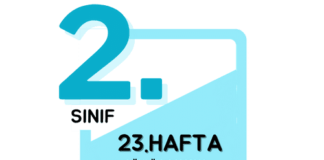 2. Sınıf 23. Hafta Çalışmaları