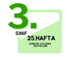 3. Sınıf 25. Hafta Çalışmaları