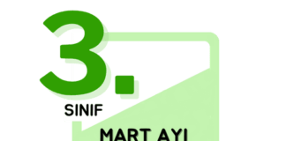 3. Sınıf Deneme Sınavı Mart Ayı