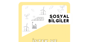 4. Sınıf İstek, İhtiyaç ve İlgilerimiz