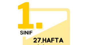 1. Sınıf 27. Hafta Çalışmaları