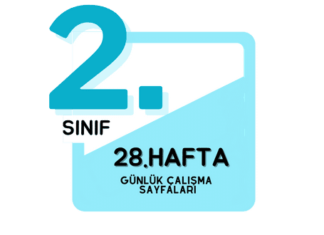 2. Sınıf 28. Hafta Çalışmaları